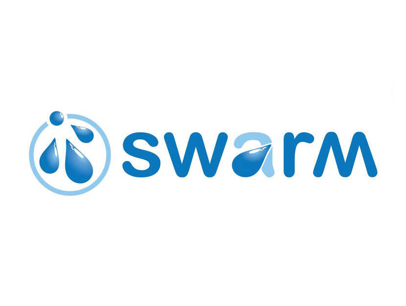 SWARM Inter-project coaching, webinar